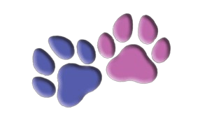 Dog Name Generator - Find the Perfect Name for Your Pup!